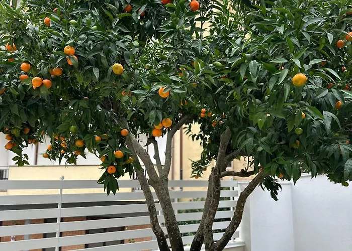 Soleil Vibo Valentia