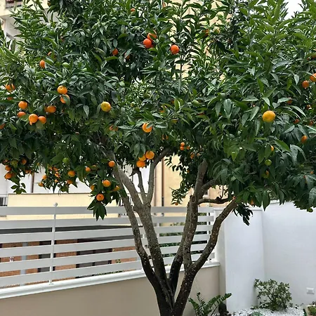 Soleil Vibo Valentia